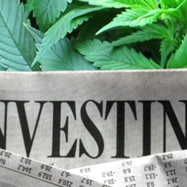 top-marijuana-stocks